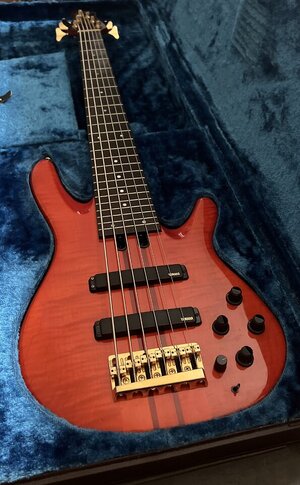 Yamaha TRB 6p