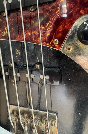 IMG_0181.jpeg