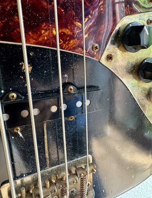 IMG_0182.jpeg