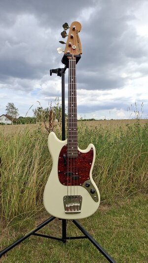 Squier CV Mustang mit LaBella Flats