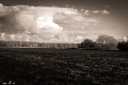 feld_wald_06102020.jpg