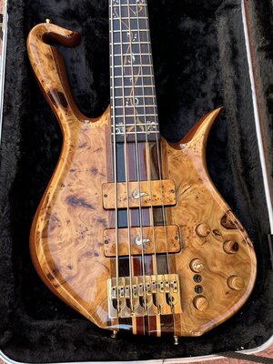 Aries Bovidae custom 5