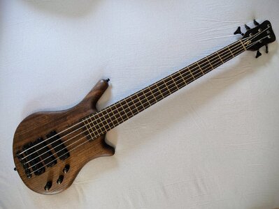 Ab August: Warwick Thumb BO 5 BROADNECK (selten!)