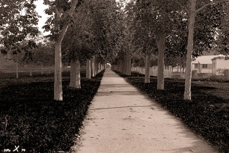 allee_06102020-2.jpg