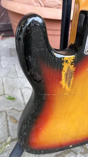 IMG_3955.jpeg