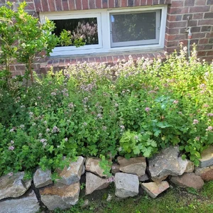 20250718_174732.jpg 20250718_174732.jpg