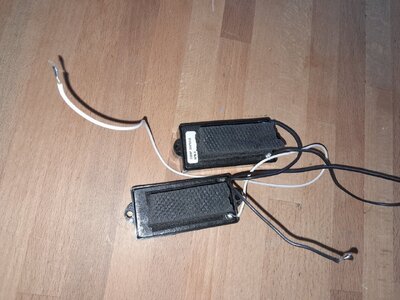 20250419_105524.jpg