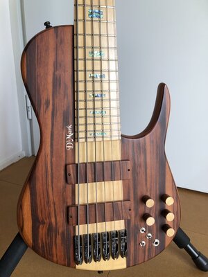 D‘Mark 6 String Omega Singlecut Bass!