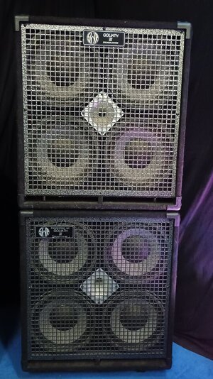 SWR Goliath III 4x10 (2 Stück)