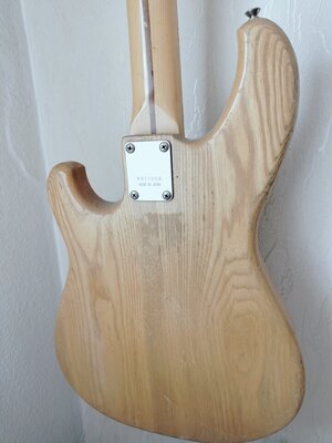 IMG20250720131130.jpg
