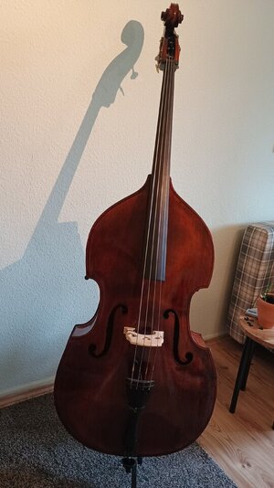 3/4 Kontrabass massiv (Musima?)