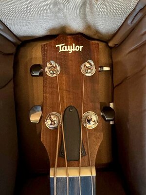 :: Akustikbass :: TAYLOR GS Mini-e Maple / Sitka :: 23,5" / 597 mm