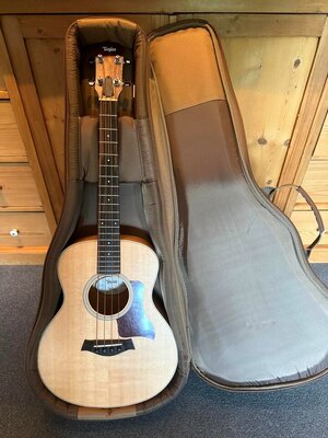 Taylor-GS-mini_2.jpg