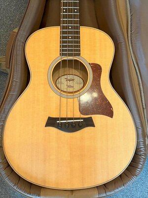Taylor-GS-mini_3.jpg