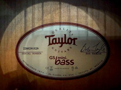 Taylor-GS-mini_4.jpg