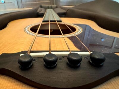 Taylor-GS-mini_5.jpg