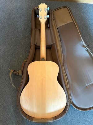 Taylor-GS-mini_6.jpg
