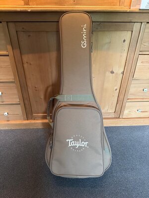Taylor-GS-mini_7.jpg