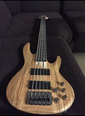 ESP LTD B205SM Natural Satin - 5-Saiter E- Bass - Top-Zustand!