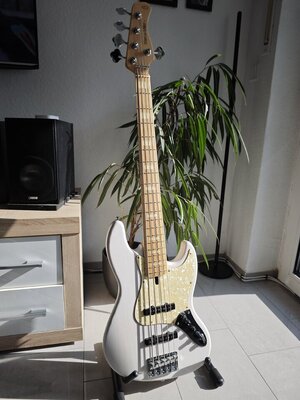 Bass2.jpg