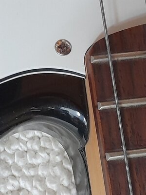 Squier Precision V Hals Einpassung -11-2.jpg