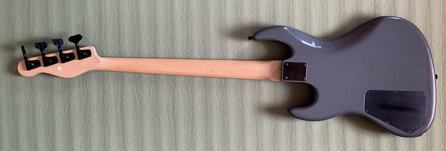 godin-z11-grey-02.jpeg