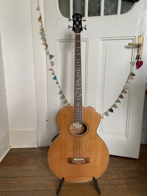 Epiphone Akustikbass El Capitan