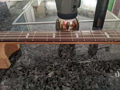 BB414_orange_neck_small.jpg