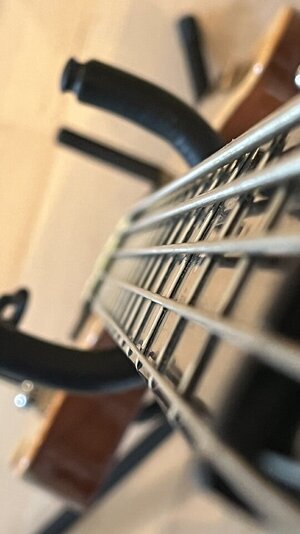 IMG_8419.jpeg