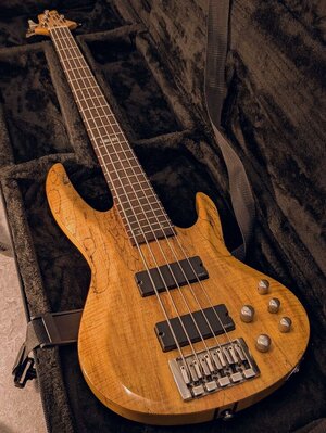 ESP LTD B-405 5-Saiter Bass