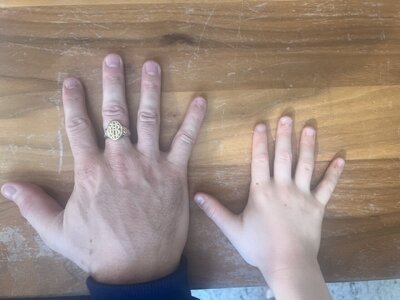 hand.jpg