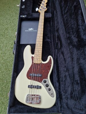 USA G&L Deluxe JB-5  Tausch / Verkauf