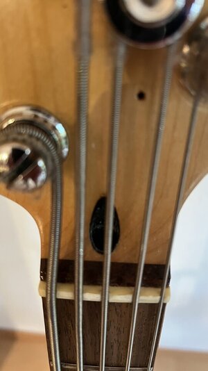 IMG_8473.jpeg