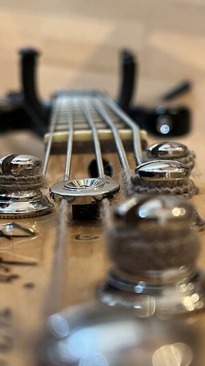 IMG_8483.jpeg