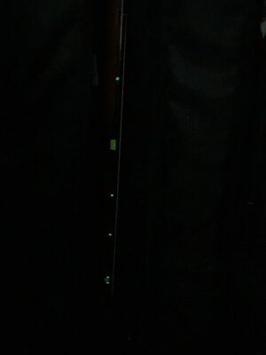 IMG_0035.jpeg