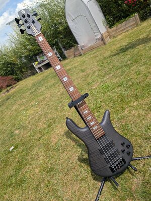 Spector Euro LX5 Black Stain Matte