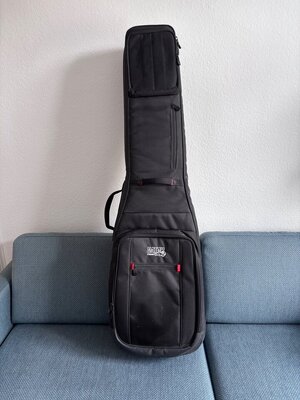 Gator Double Gigbag