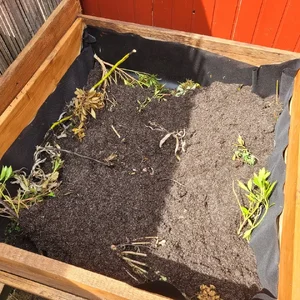 20250804_140757.jpg 20250804_140757.jpg