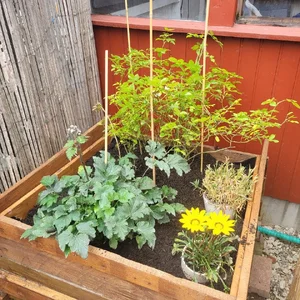 20250804_152701.jpg 20250804_152701.jpg