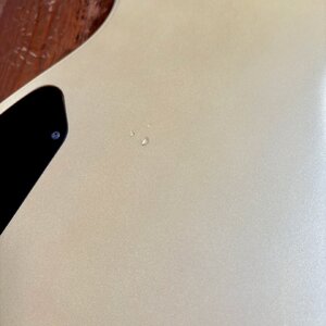 IMG_0275.jpeg