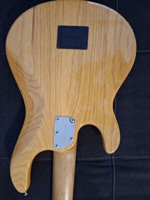 20250805_201305.jpg