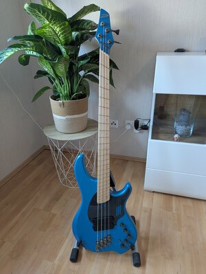 Dingwall NG2 4 Laguna Seca Blue