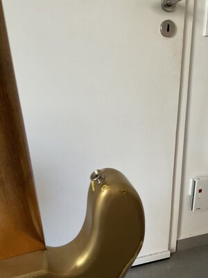 IMG_1982.jpeg