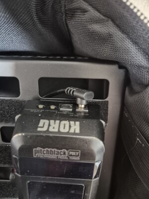 1000037050.jpg