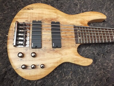 ESP LTD 6 String Bass