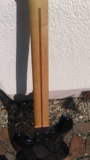 5-saitiger P-Bass in exklusiver Schlichtheit sucht einen neuen Begleiter Vincent Akkurat 5
