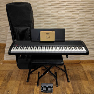 Korg B2 + Korg PU-2 + Gator GKB-88-SLIM + RTX 93 + RTX KBX, alles in nahezu neuwertigem Zustand