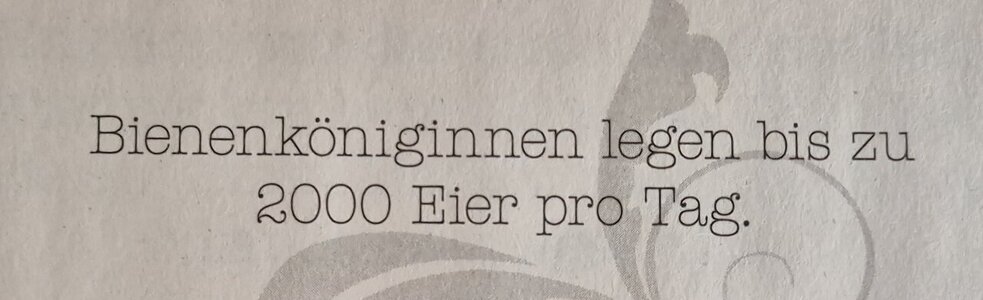 1000035166.jpg