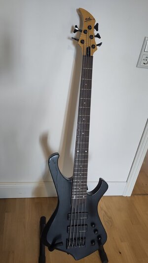 ESH Stinger 5 (2).jpg