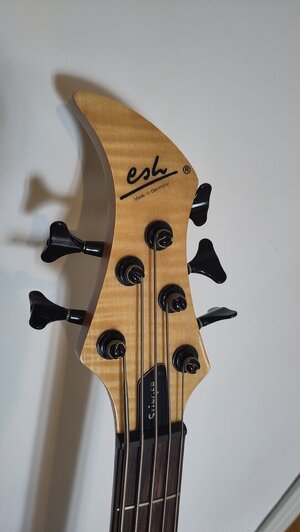 ESH Stinger 5 (3).jpg
